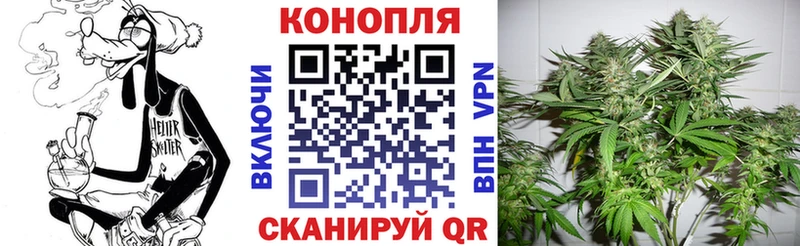 Купить где  Кореновск  Каннабис AK-47 